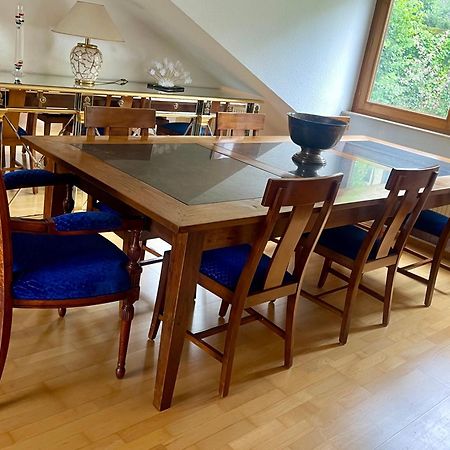 Wunderschoenes Grosses 3 Zimmer Apartament Zentrum Goldstadt Familienfreundlich Mit Garage プフォルツハイム エクステリア 写真