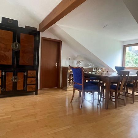 Wunderschoenes Grosses 3 Zimmer Apartament Zentrum Goldstadt Familienfreundlich Mit Garage プフォルツハイム エクステリア 写真