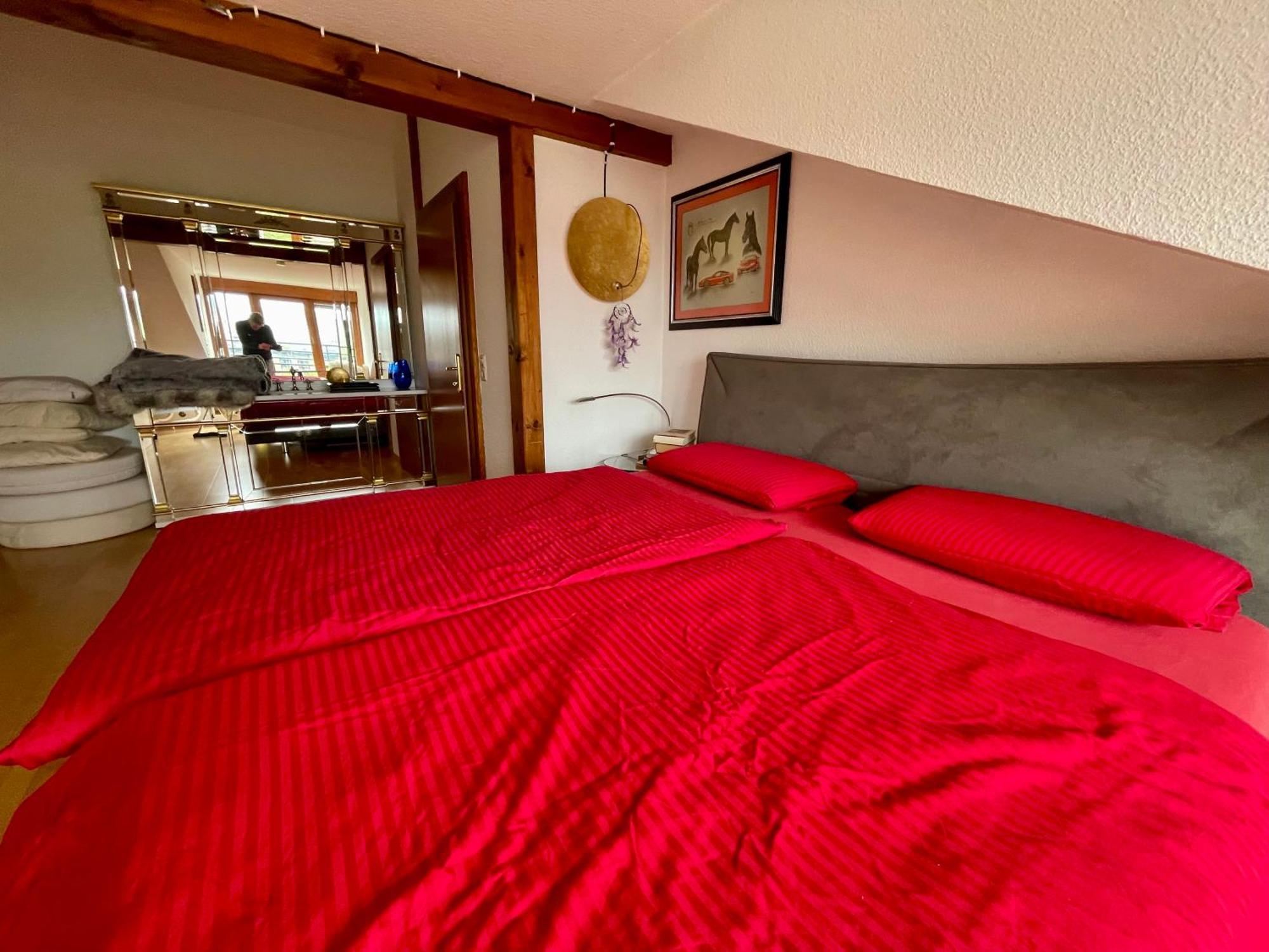 Wunderschoenes Grosses 3 Zimmer Apartament Zentrum Goldstadt Familienfreundlich Mit Garage プフォルツハイム エクステリア 写真